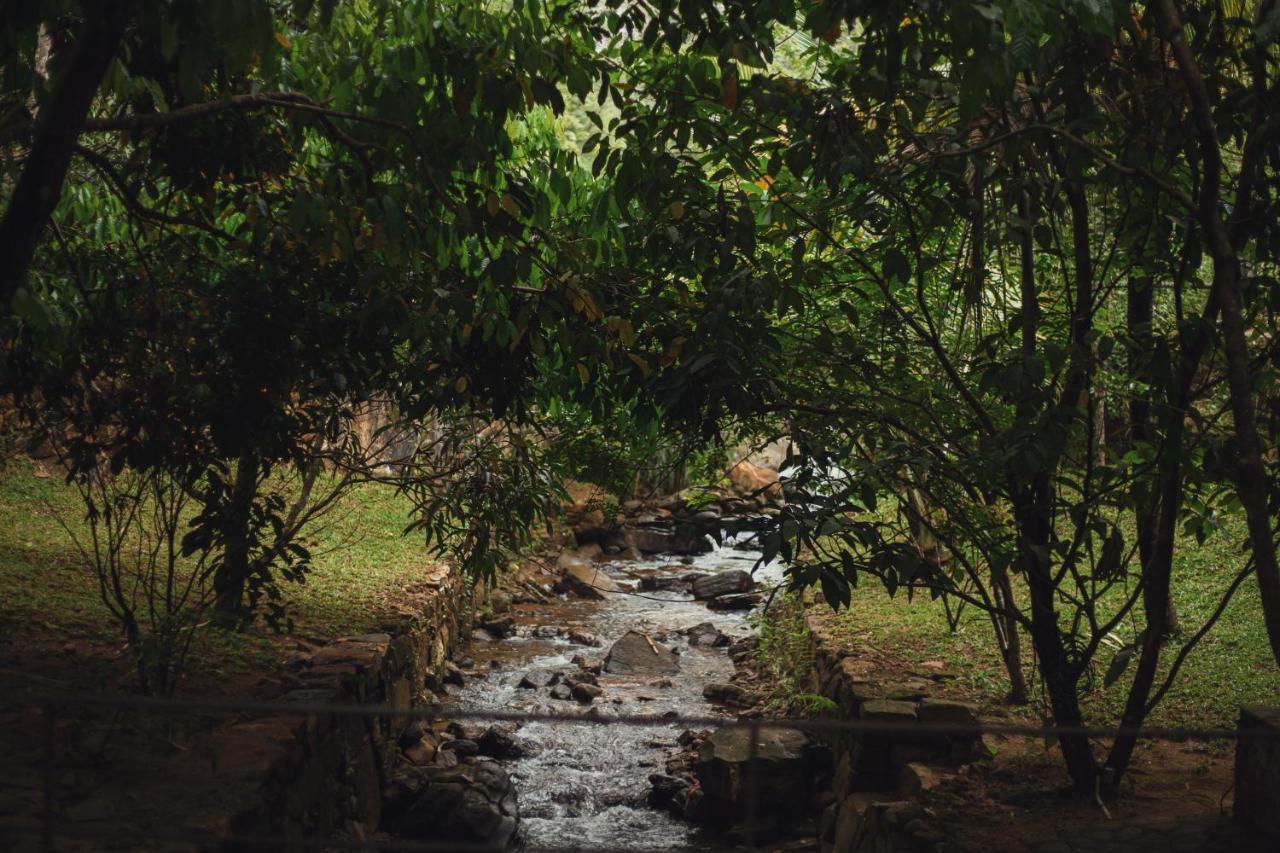 Sati Villa Kandy Sri Lanka Екстер'єр фото
